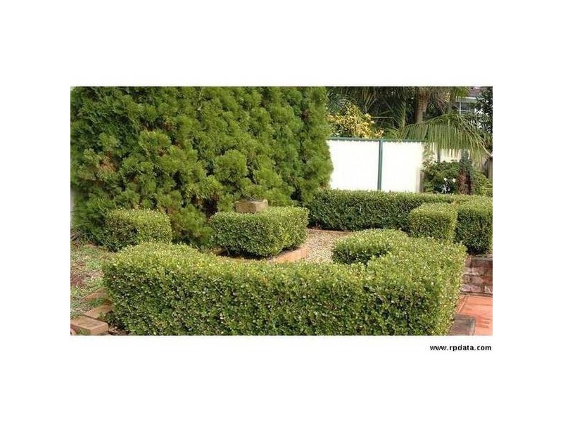 24 Tallawalla Road, Valentine NSW 2280