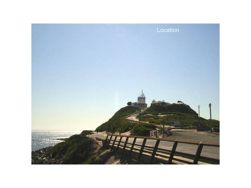 17a Zaara Street, Newcastle NSW 2300