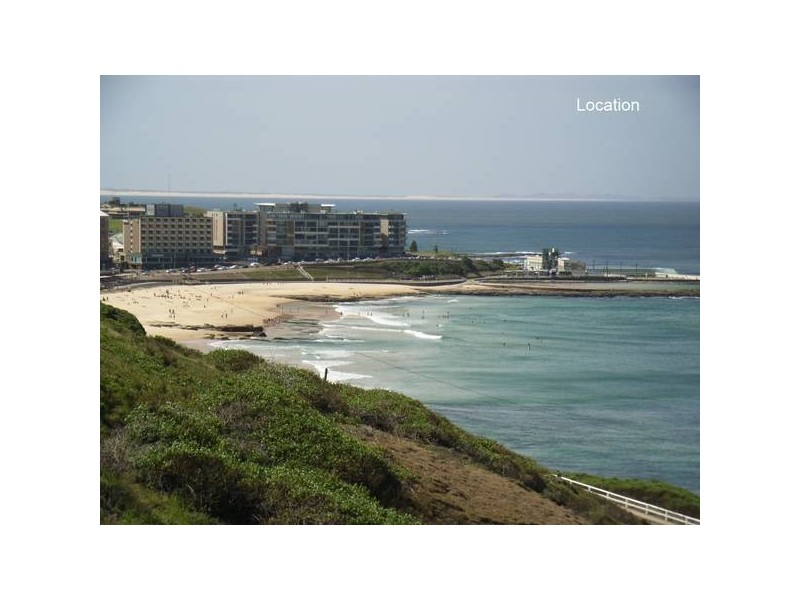 17a Zaara Street, Newcastle NSW 2300