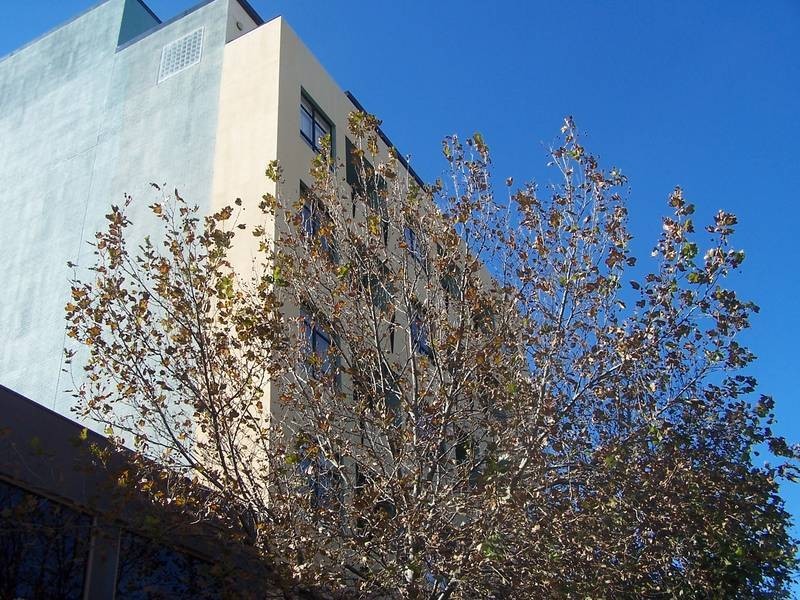 23/522 Hunter Street, Newcastle NSW 2300