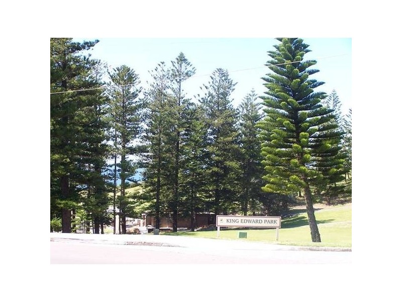 2/17 Hillview, The Hill NSW 2300