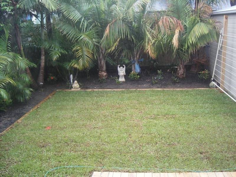 25 SWAN ST, Cooks Hill NSW 2300