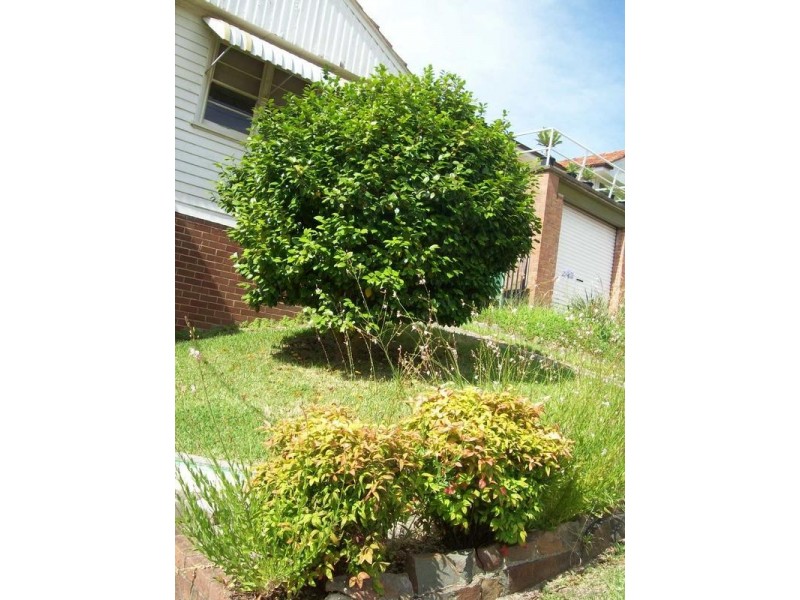 6 YARRUM ST, Adamstown NSW 2289