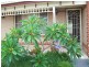 2/54 Tiral St, Charlestown NSW 2290