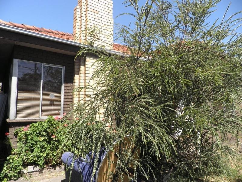 277 Hyde Street, Yarraville VIC 3013