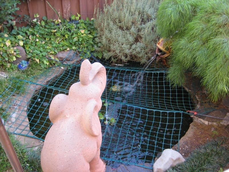 20 Maryston Street, Yarraville VIC 3013