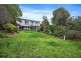 22 Bourke Street, Essendon VIC 3040