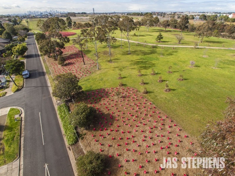 24 Matthews Street, Sunshine VIC 3020