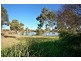 Wattle Grove NSW 2173