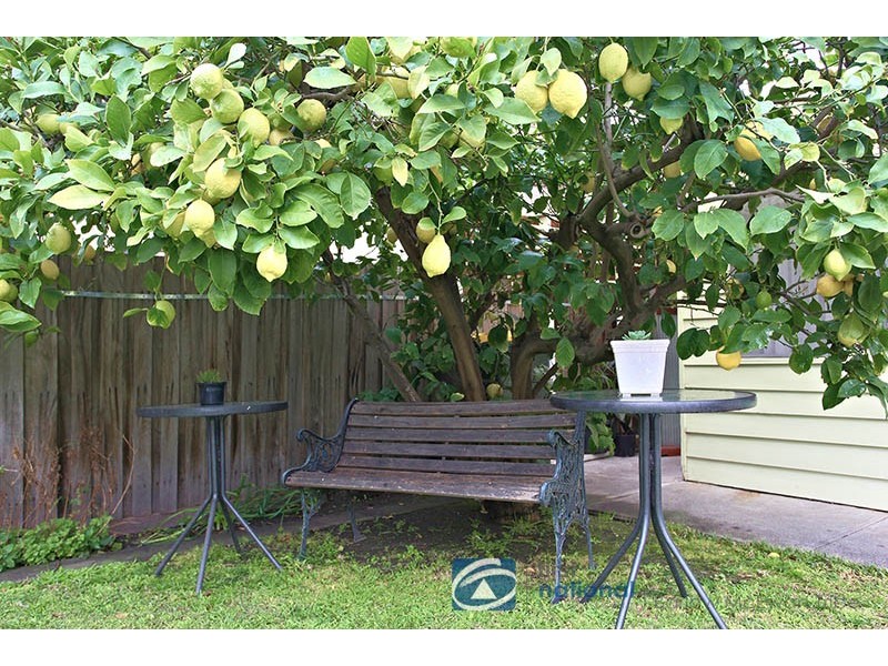 6 Junction Street, Newport VIC 3015