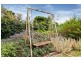 35 Myrtle Grove, Altona VIC 3018