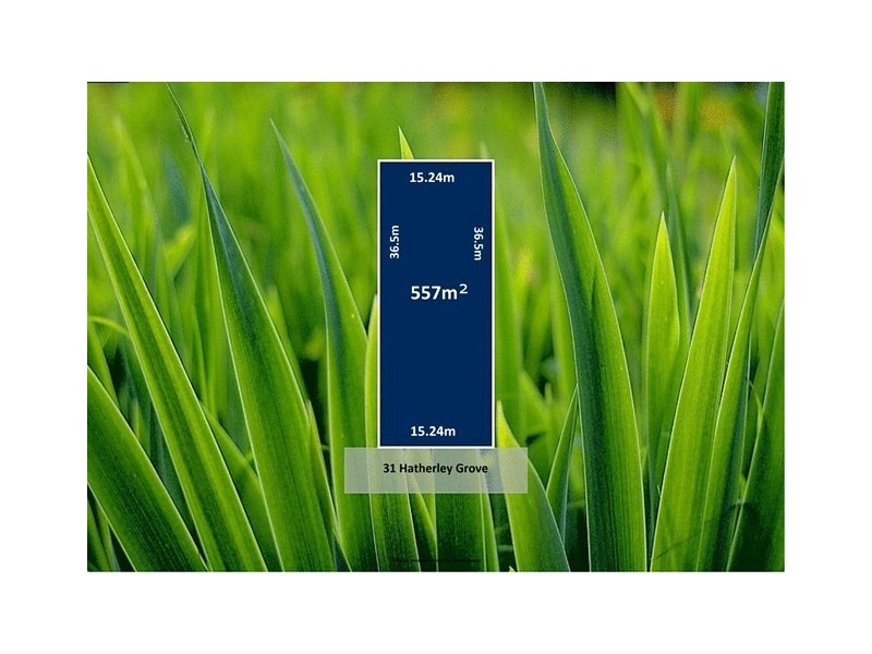 31 Hatherley Grove, Altona North VIC 3025