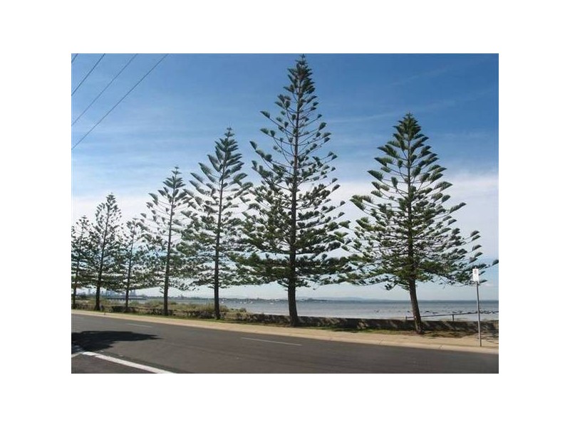 187 Esplanade, Altona VIC 3018