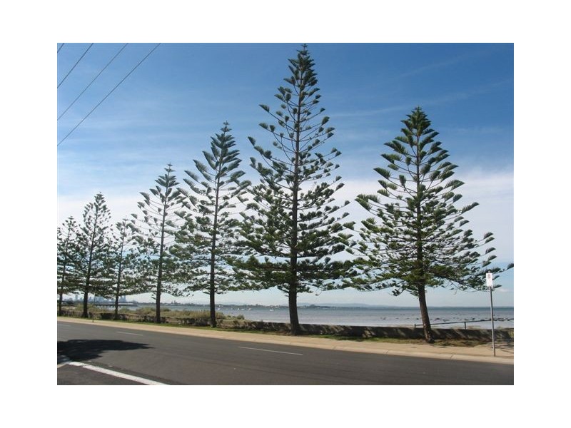 2/181 Civic Parade, Altona VIC 3018