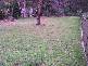 Mount Hutton NSW 2290