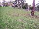 Mount Hutton NSW 2290