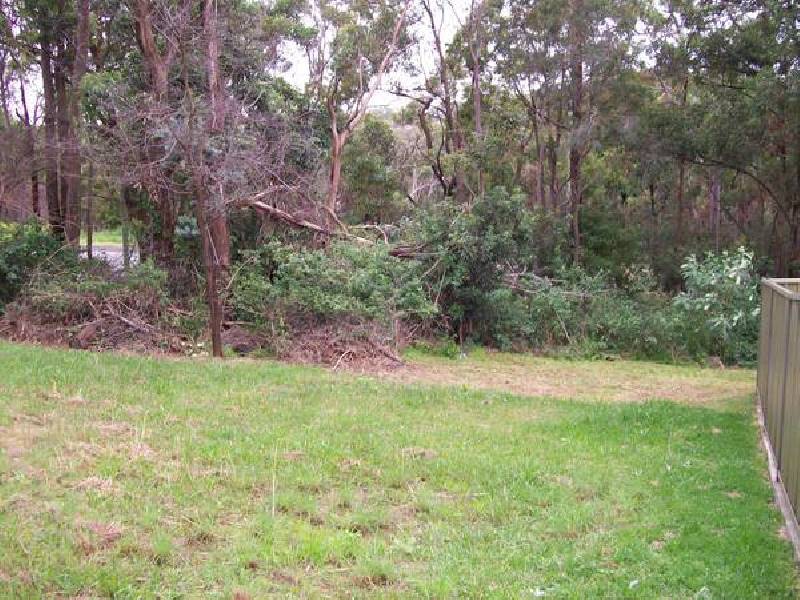 Mount Hutton NSW 2290
