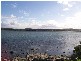 Speers Point NSW 2284