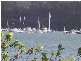 Speers Point NSW 2284