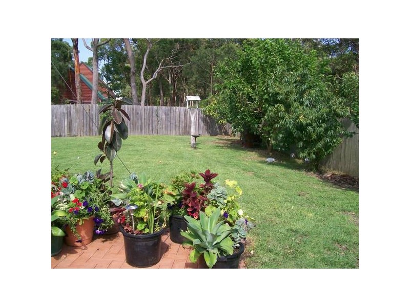 Tingira Heights NSW 2290