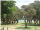 Pelican NSW 2281