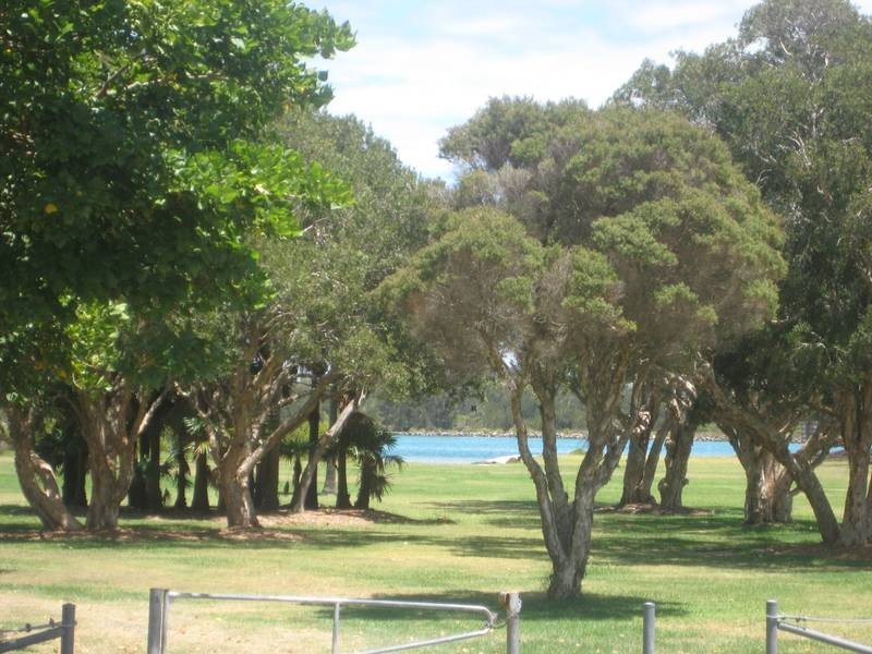 Pelican NSW 2281