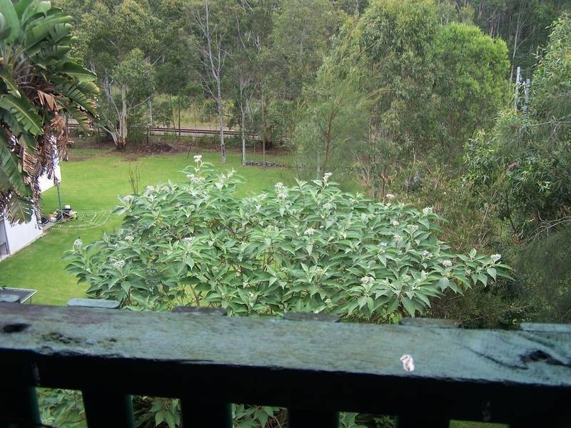 Garden Suburb NSW 2289