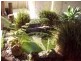 5 Chevron Close, Floraville NSW 2280