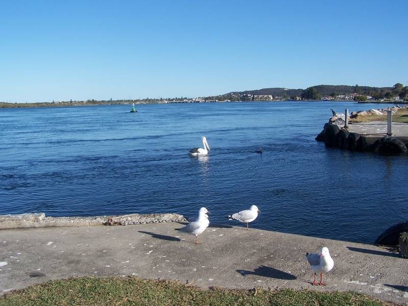 Swansea NSW 2281