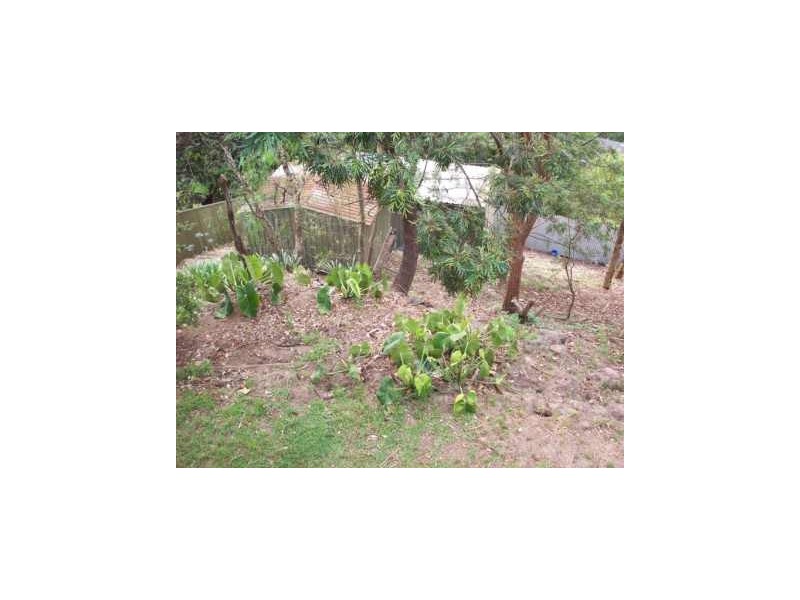 29 Rowes Lane, Cardiff Heights NSW 2285