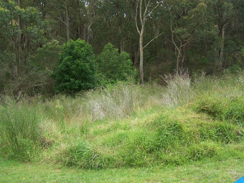 Warners Bay NSW 2282