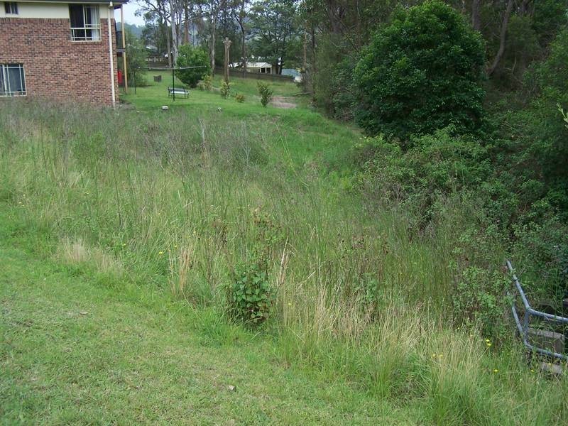 Warners Bay NSW 2282