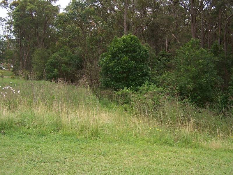 Warners Bay NSW 2282