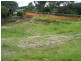 Belmont NSW 2280