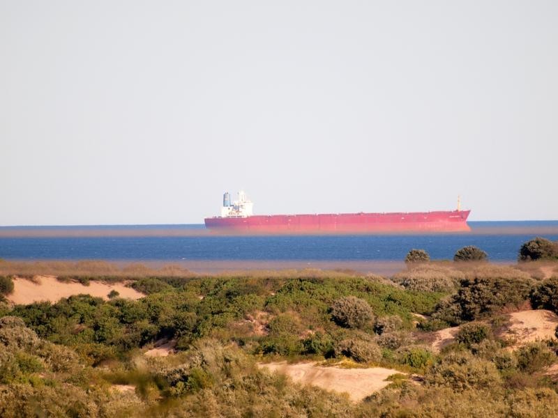 Belmont North NSW 2280