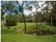 Mount Hutton NSW 2290