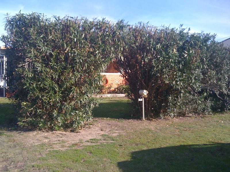 2 Forbes Street, Swansea NSW 2281
