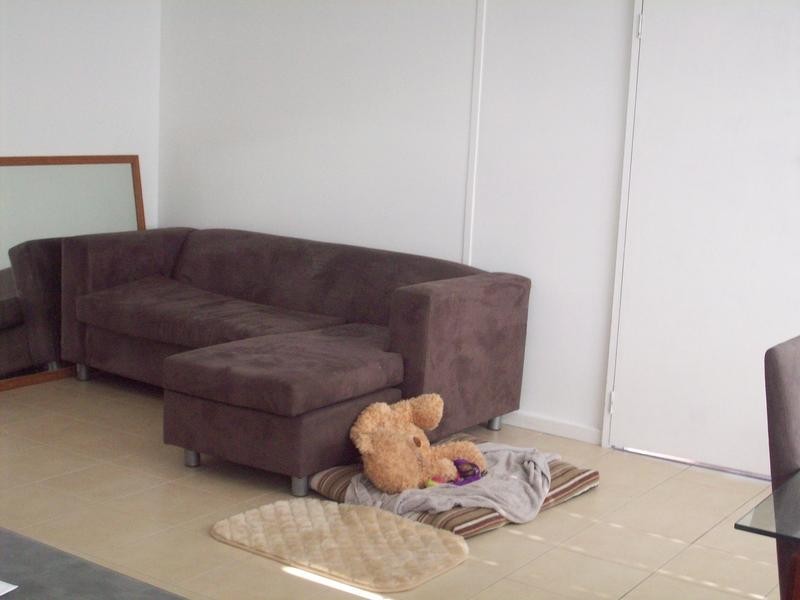 91 Sunderland, Mayfield NSW 2304