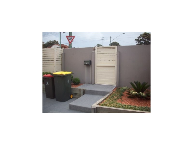 3 Bailey Street, Adamstown NSW 2289