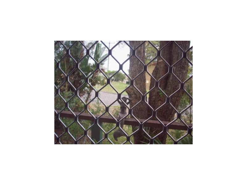 8 Hollway Street, Floraville NSW 2280