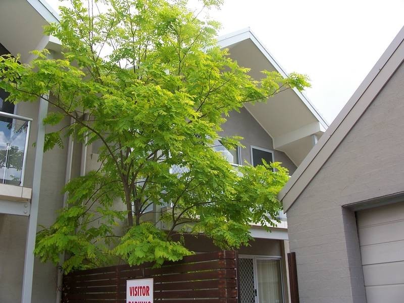2/562 The Esplanade, Warners Bay NSW 2282