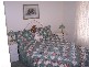 Swansea NSW 2281