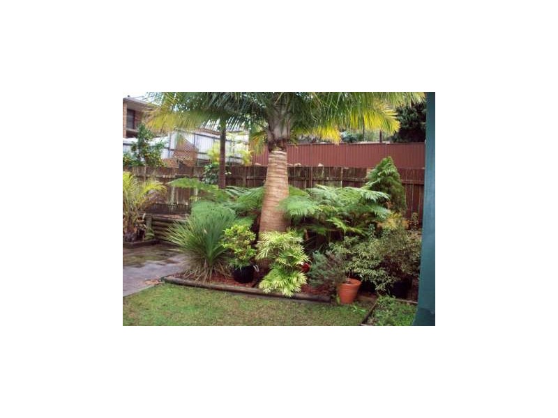 19 Jordan Street, Floraville NSW 2280