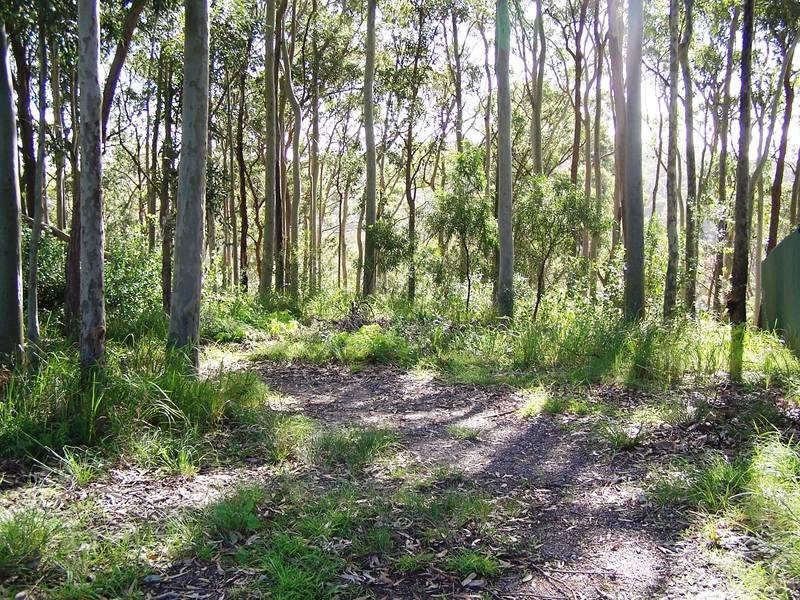 Belmont North NSW 2280