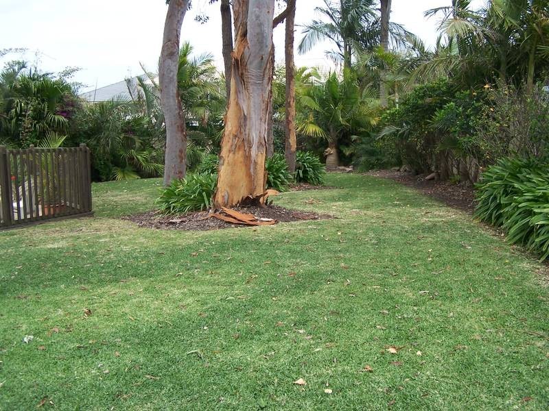 10 Tarcoola Close, Belmont North NSW 2280