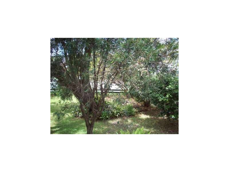 40 Floraville Road, Belmont North NSW 2280