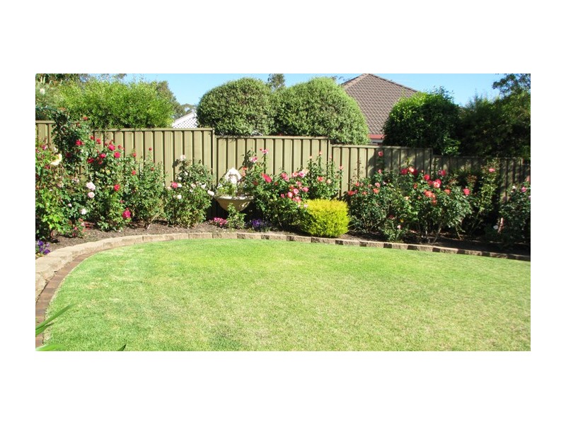 5 Tree Martin Court, Tea Tree Gully SA 5091