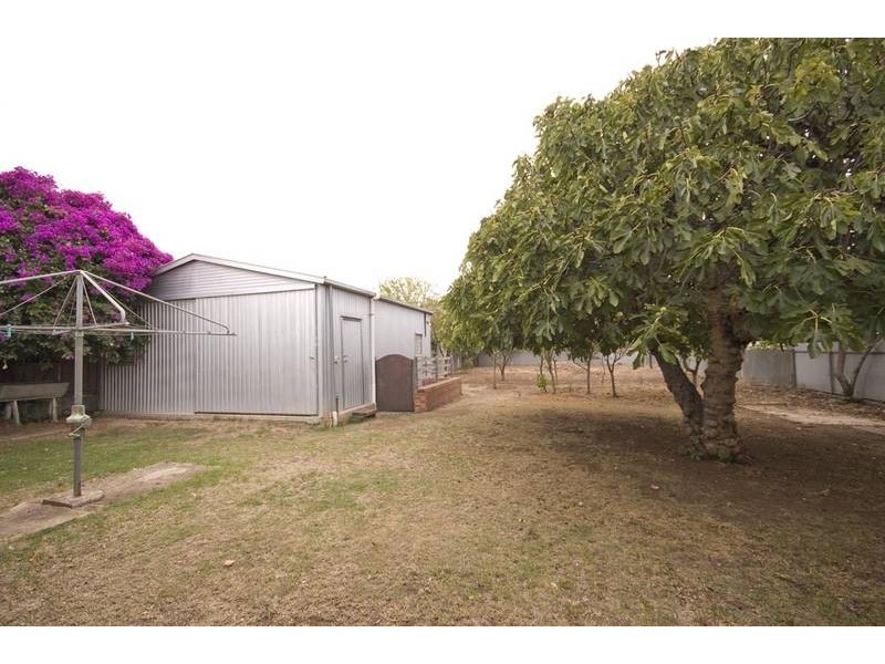 42 Thistle Avenue, Klemzig SA 5087