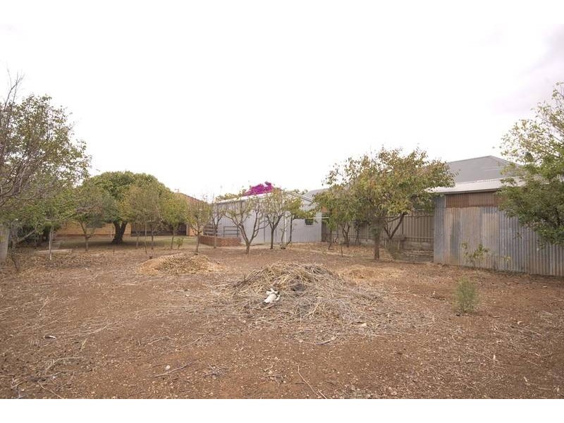42 Thistle Avenue, Klemzig SA 5087
