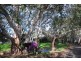 23 Park Lake Drive, Wynn Vale SA 5127